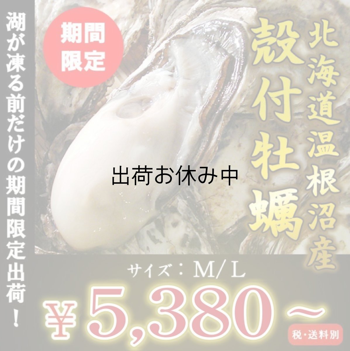 画像1: 北海道温根沼産　殻付牡蠣 (1)