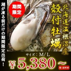 北海道温根沼産　殻付牡蠣