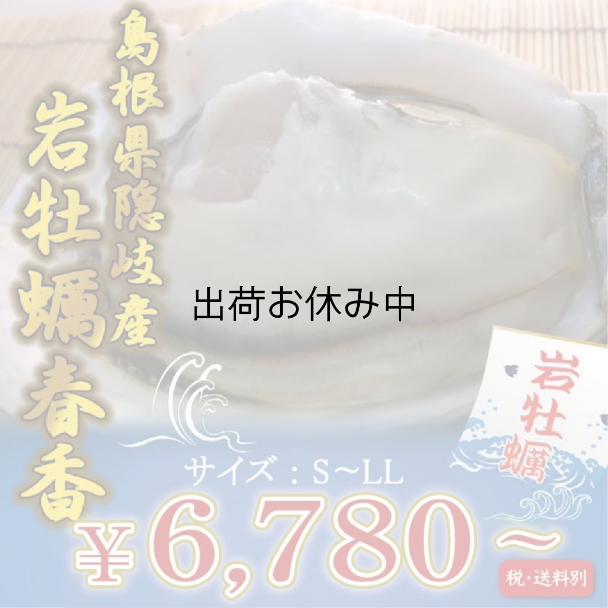 画像1: 島根隠岐産　岩牡蠣　春香　（3〜5月限定出荷） (1)