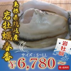 画像1: 島根隠岐産　岩牡蠣　春香　（3〜5月限定出荷） (1)