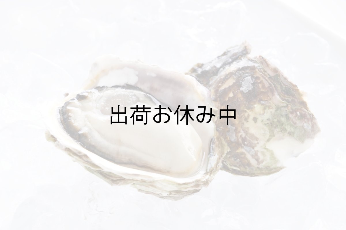 画像5: 島根隠岐産　岩牡蠣　春香　（3〜5月限定出荷） (5)