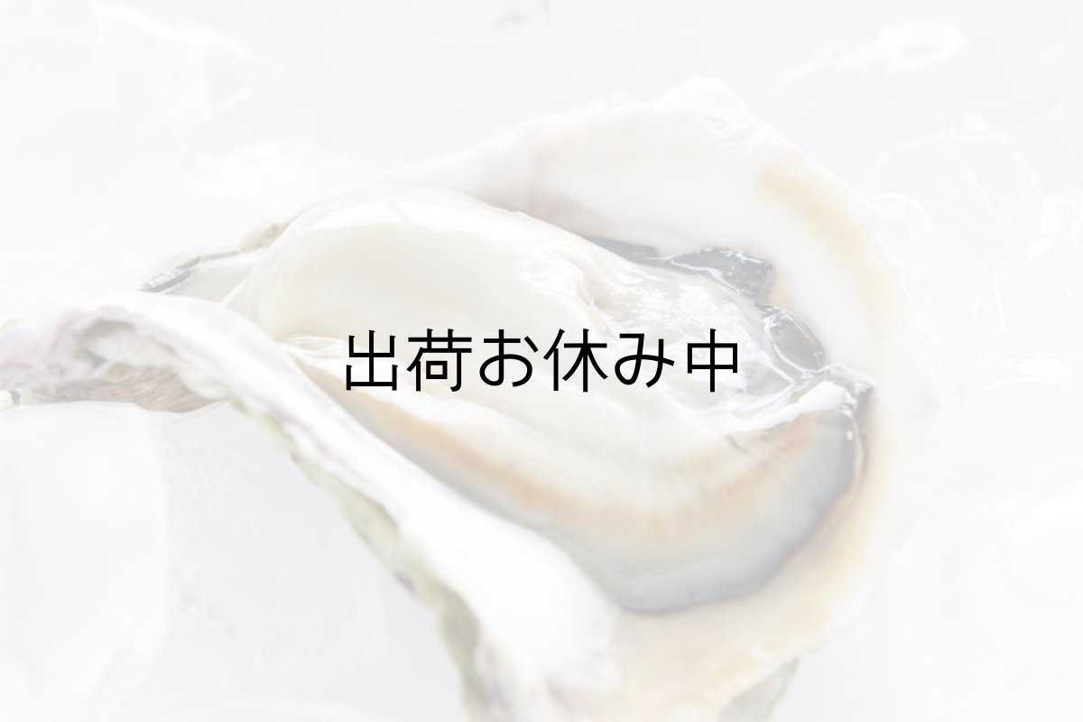 画像4: 島根隠岐産　岩牡蠣　春香　（3〜5月限定出荷） (4)