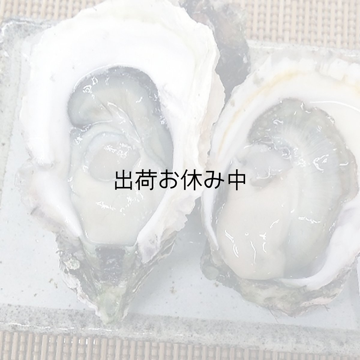 画像3: 長崎九十九島産　岩牡蠣 (3)