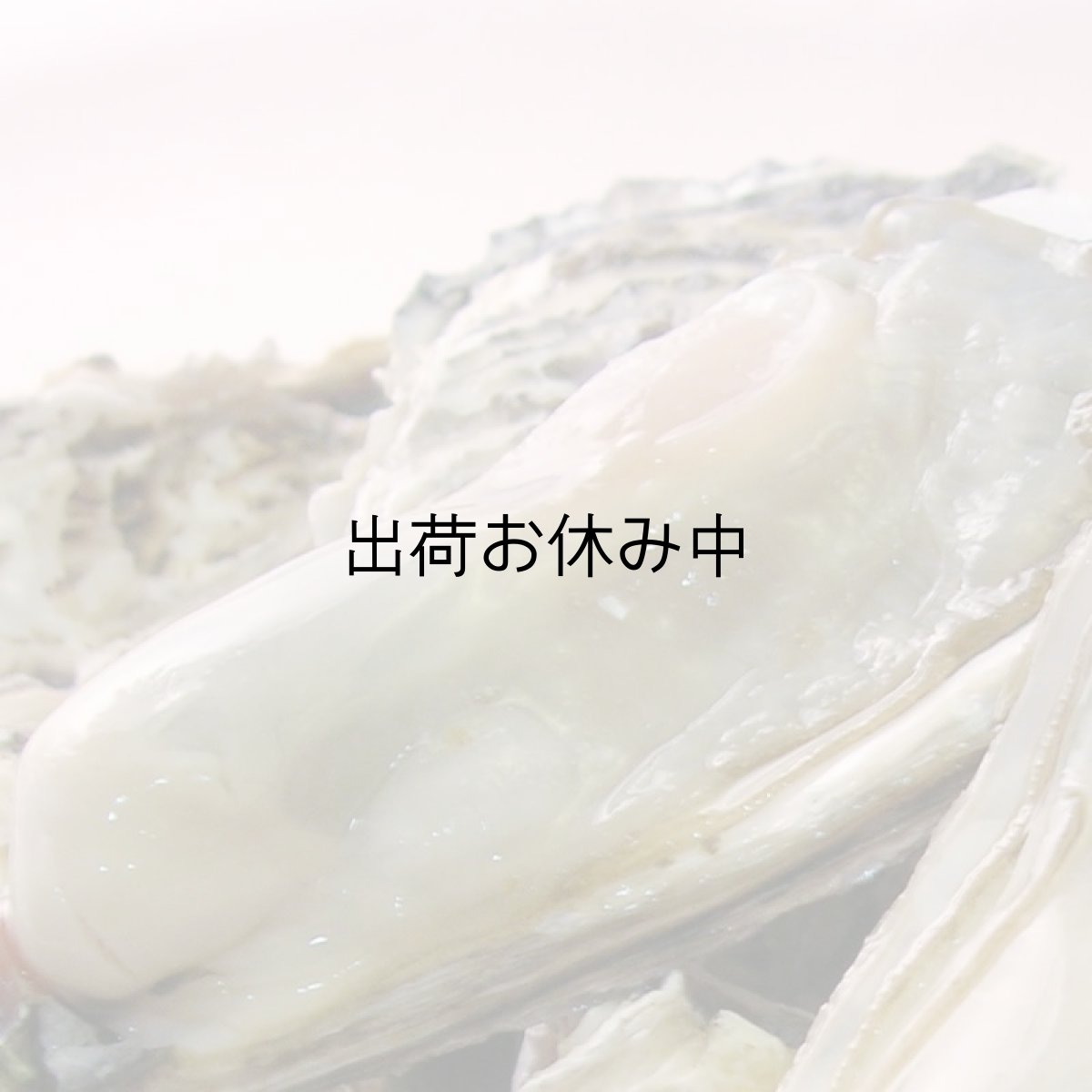 画像2: 長崎九十九島産　九十九島かき (2)