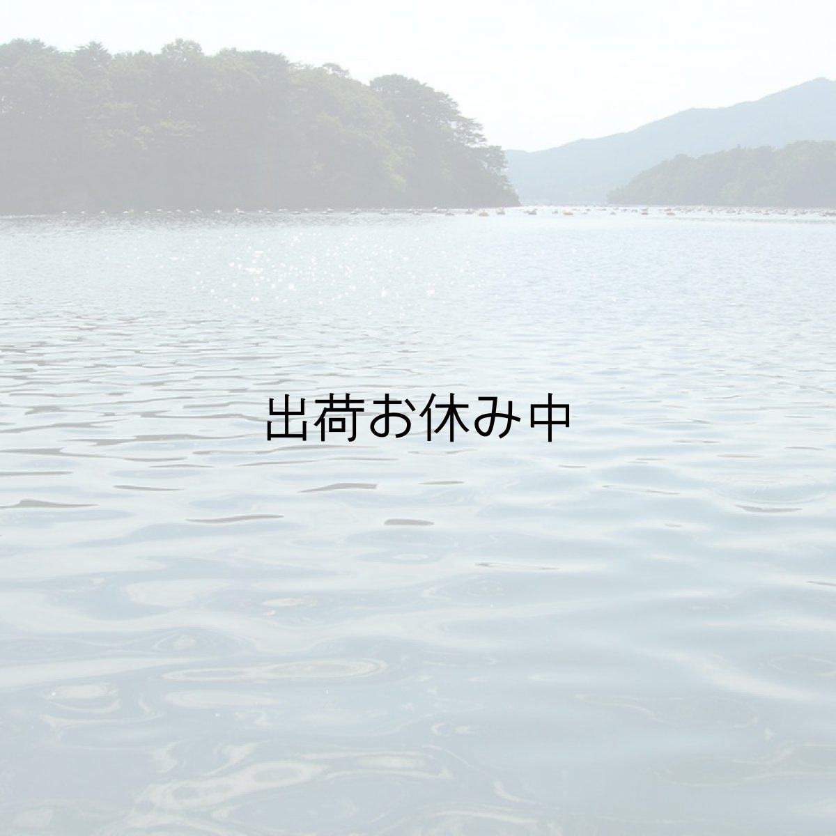 画像6: 三陸赤崎産　殻付熟成牡蠣 (6)