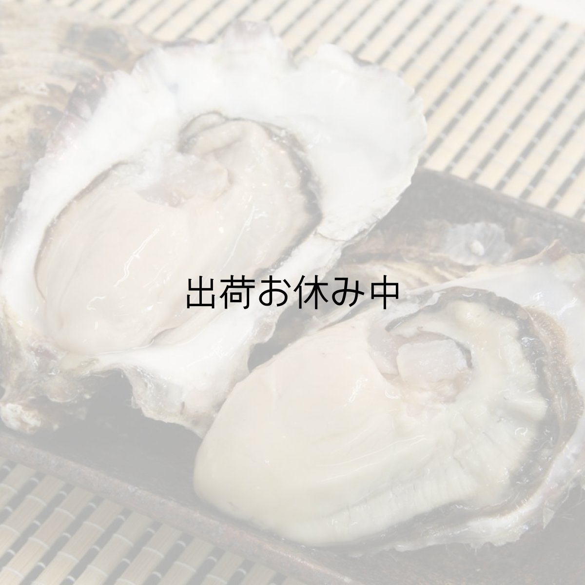 画像2: 北海道厚岸産　丸牡蠣まるえもん (2)