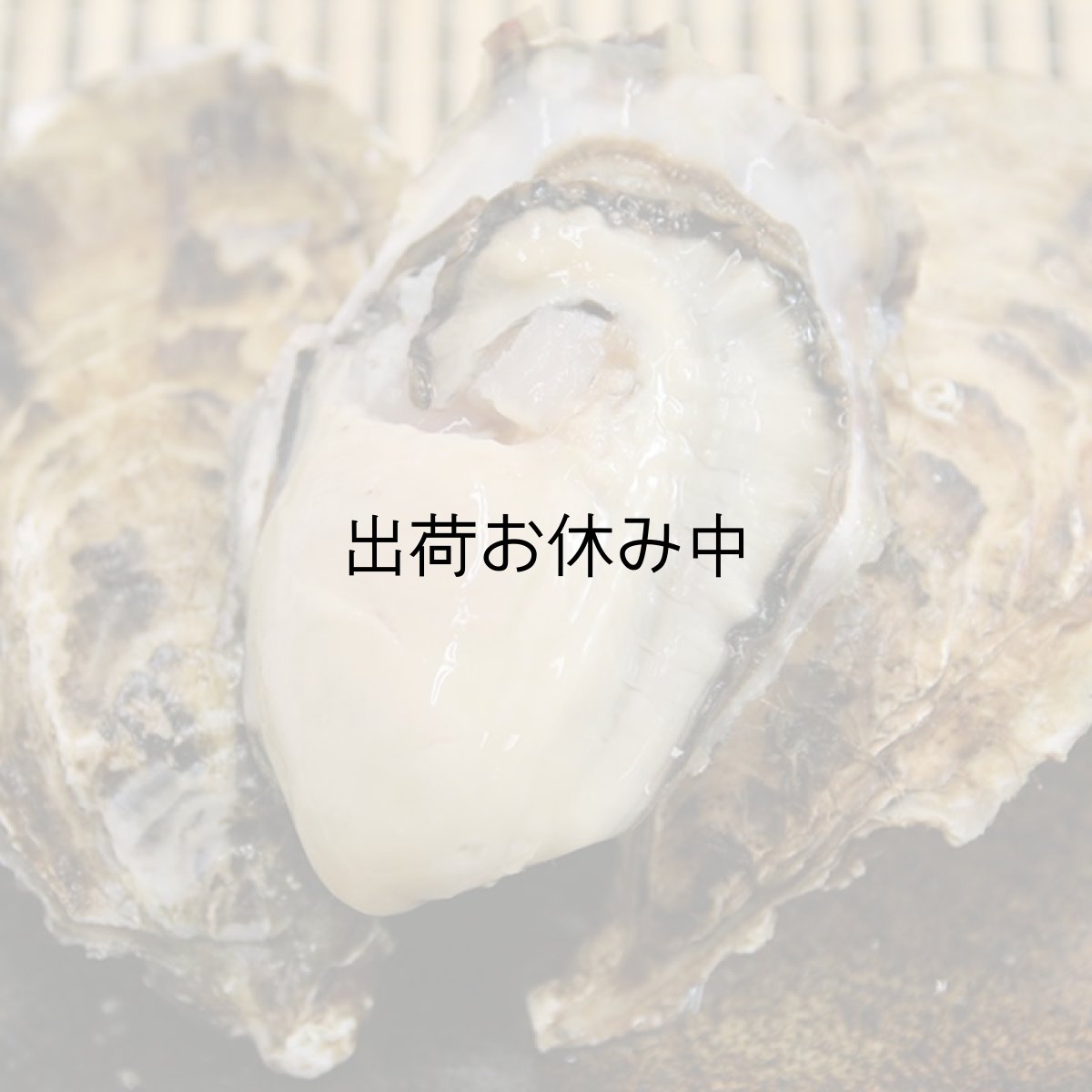 画像3: 北海道厚岸産　丸牡蠣まるえもん (3)