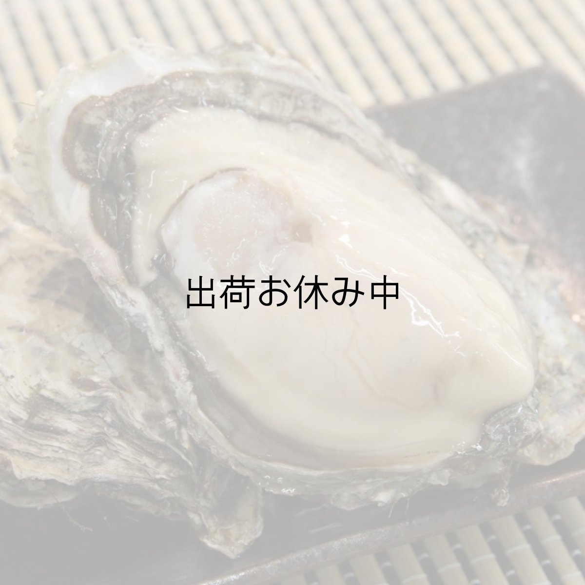 画像4: 北海道厚岸産　丸牡蠣まるえもん (4)
