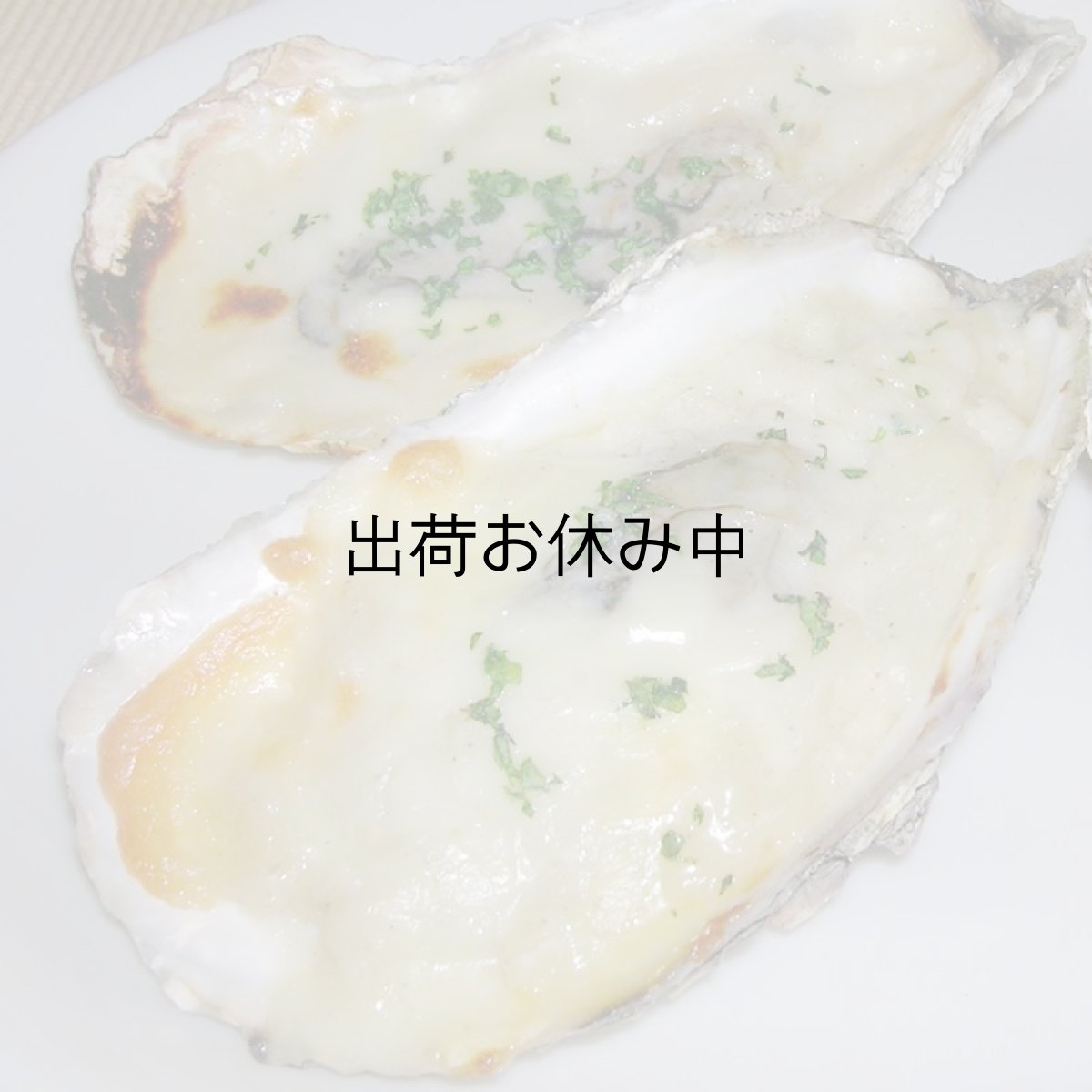 画像6: 北海道厚岸産牡蠣の「牡蠣グラタン」 (6)