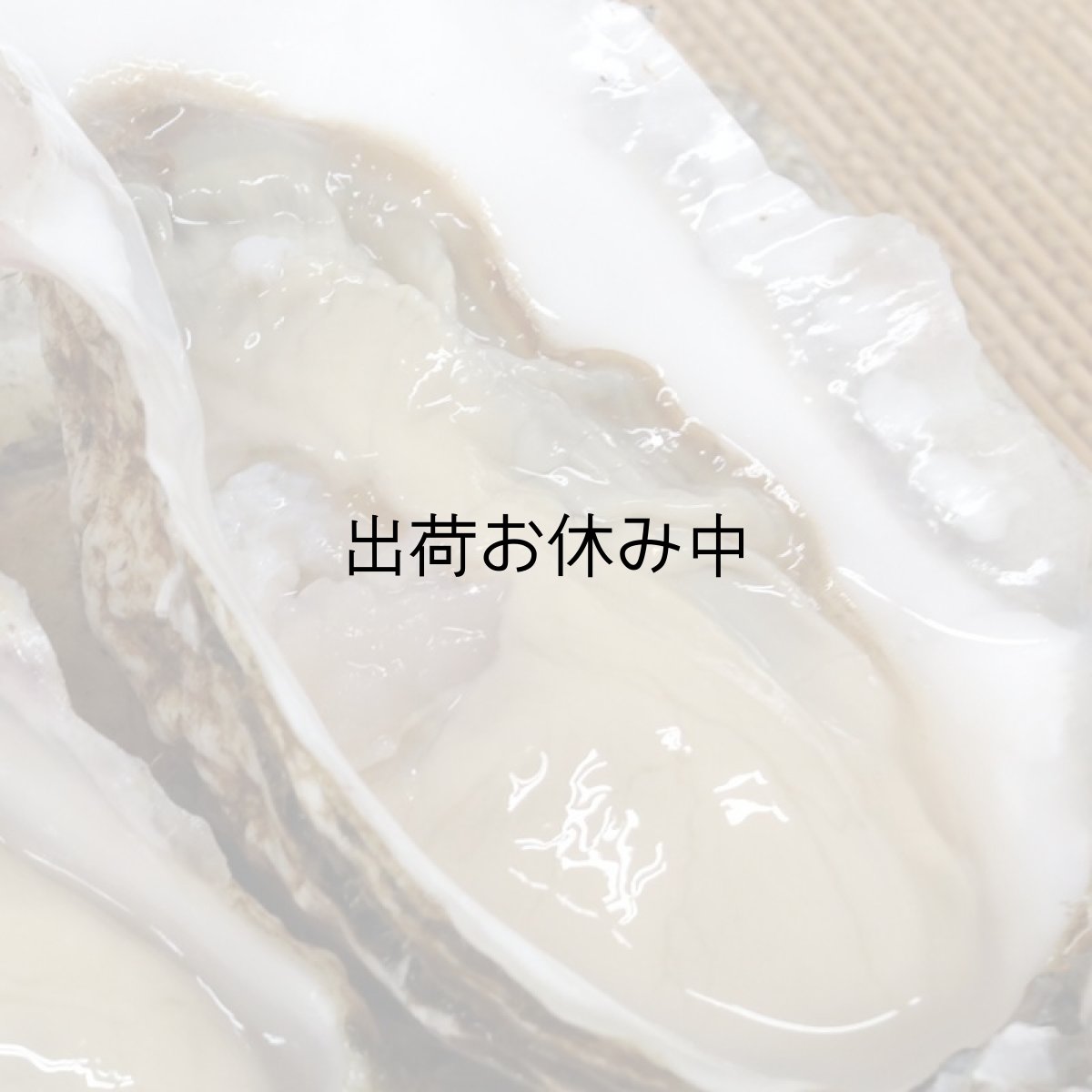 画像5: 北海道厚岸産　カキえもん (5)