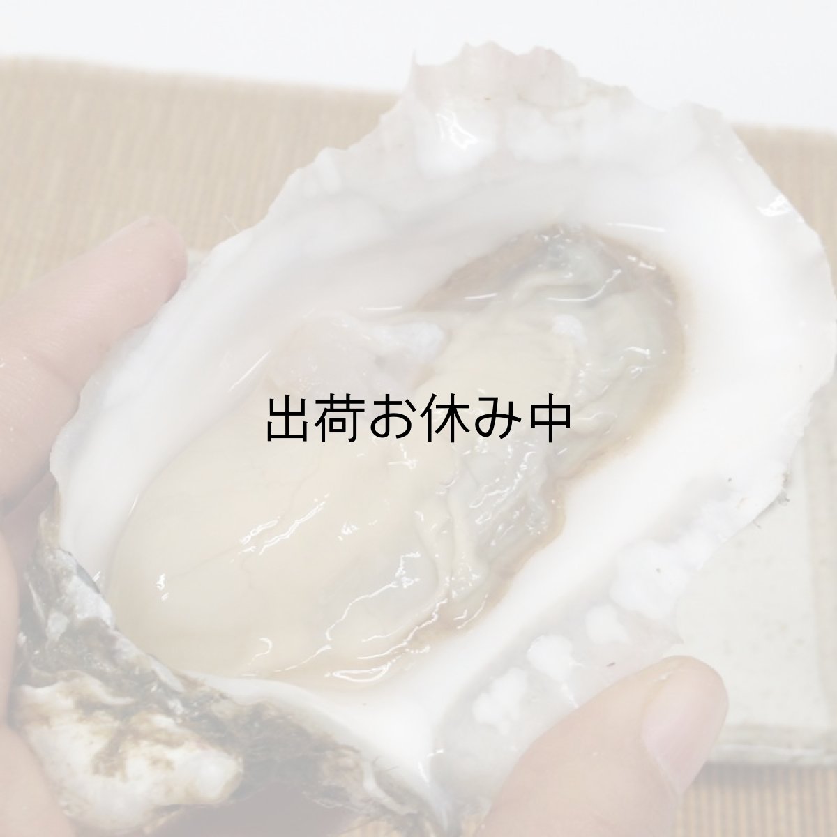 画像6: 北海道厚岸産　カキえもん (6)