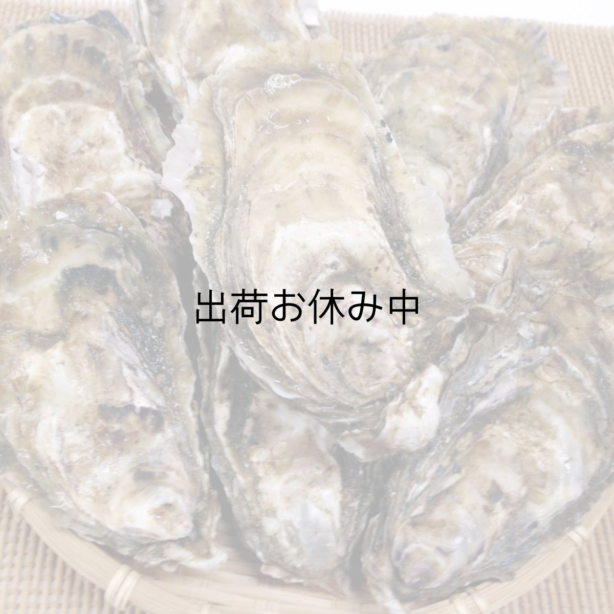 画像7: 北海道厚岸産　カキえもん (7)