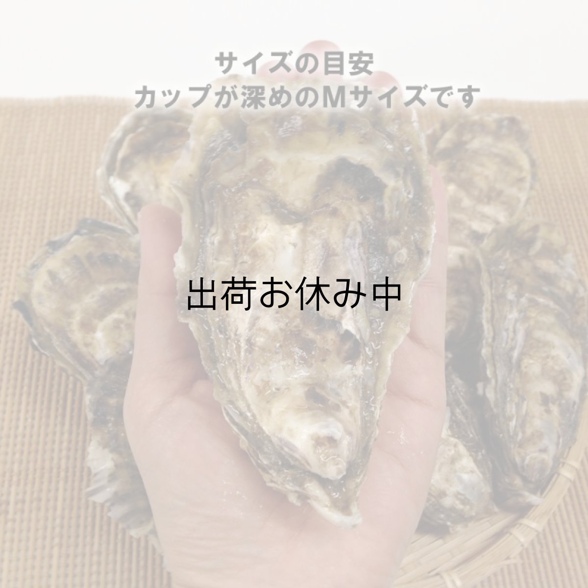 画像4: 北海道厚岸産　カキえもん (4)