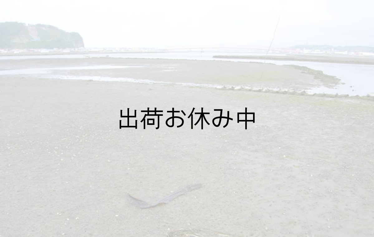 画像5: 北海道厚岸産　あさり (5)