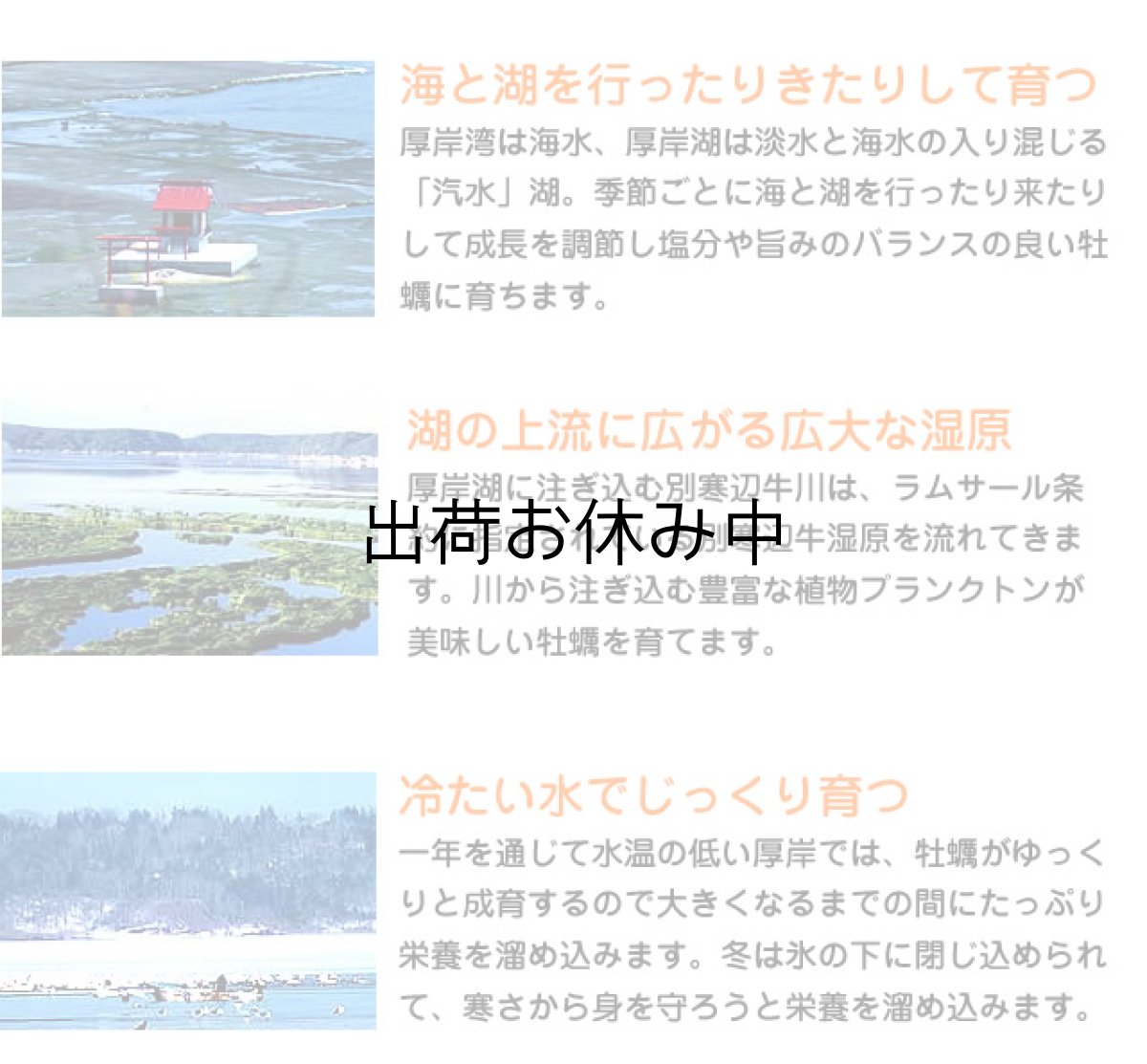 画像4: 北海道厚岸産　牡蠣飯の素 (4)