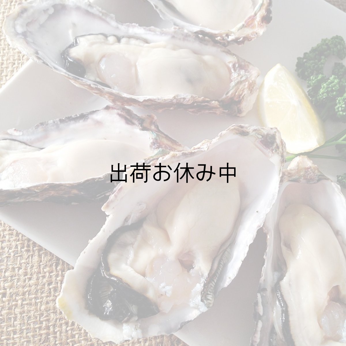 画像3: 兵庫赤穂坂越産　坂越かき (3)