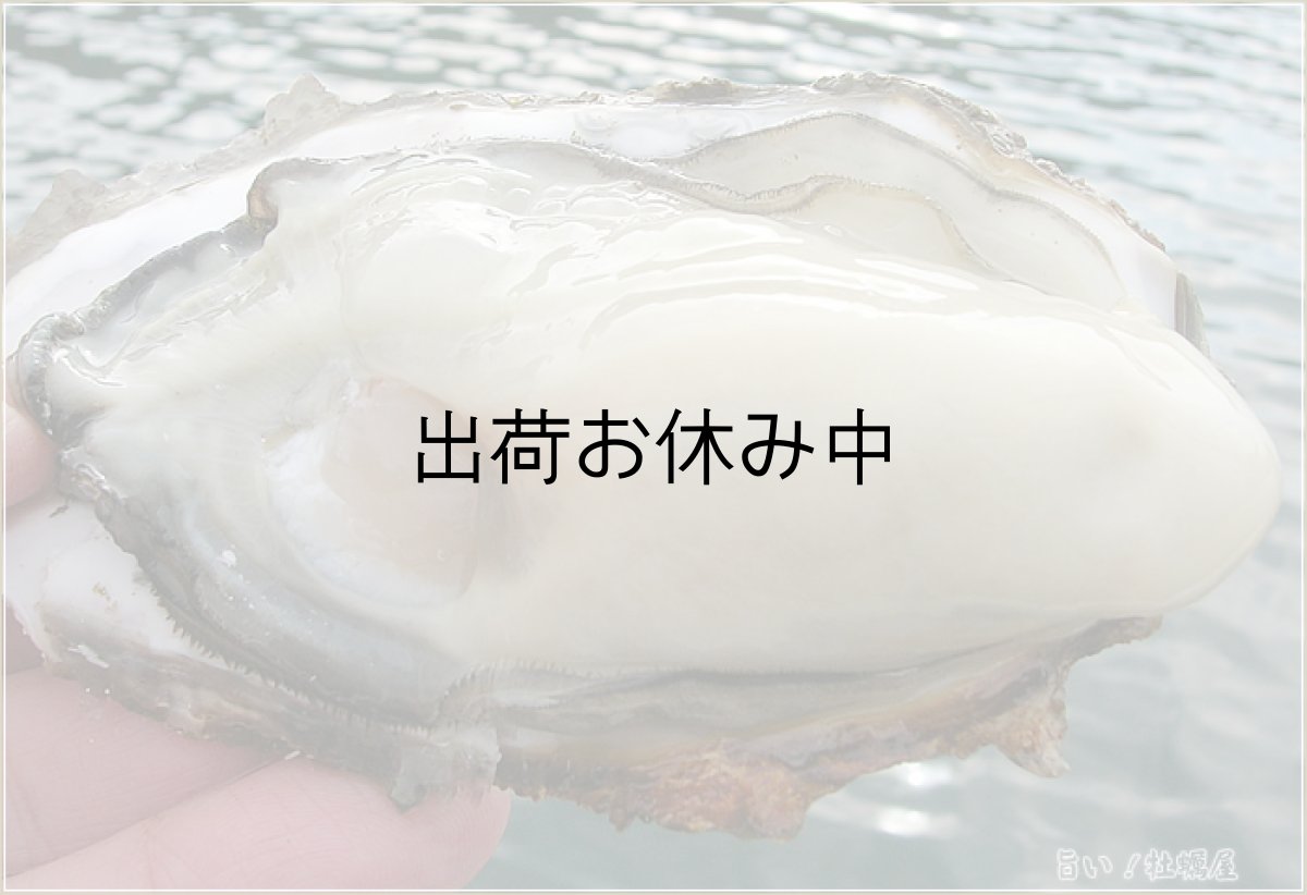 画像2: 兵庫坂越産 牡蠣 さこし忠臣蔵 (2)