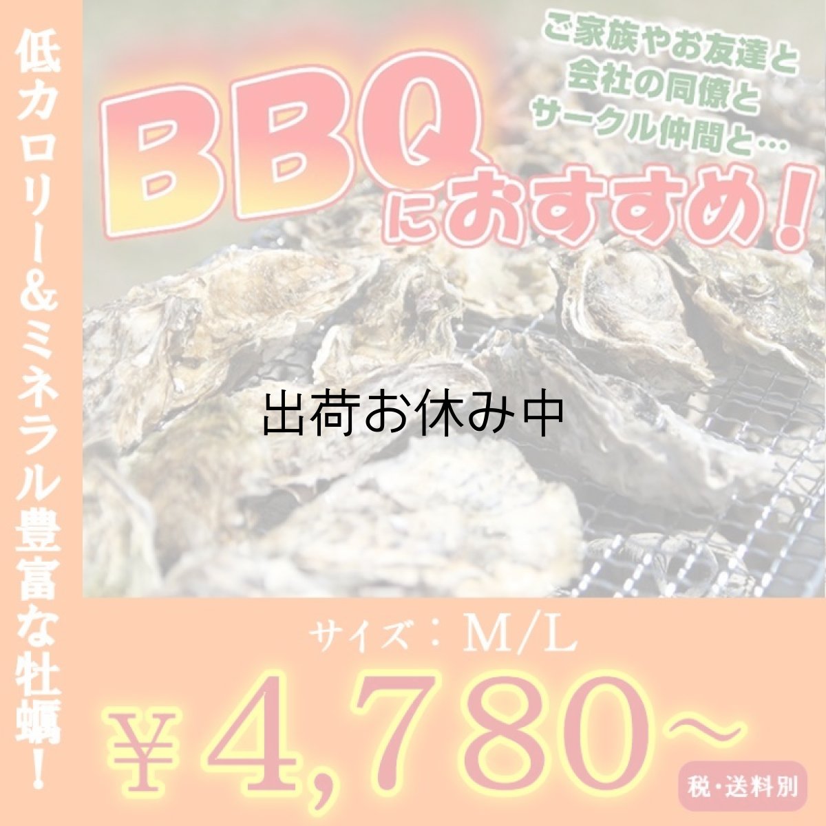 画像1: お急ぎ便　三陸産ＢＢＱ殻付牡蠣 (1)