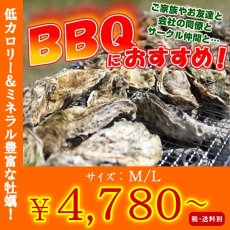 画像1: お急ぎ便　三陸産ＢＢＱ殻付牡蠣 (1)