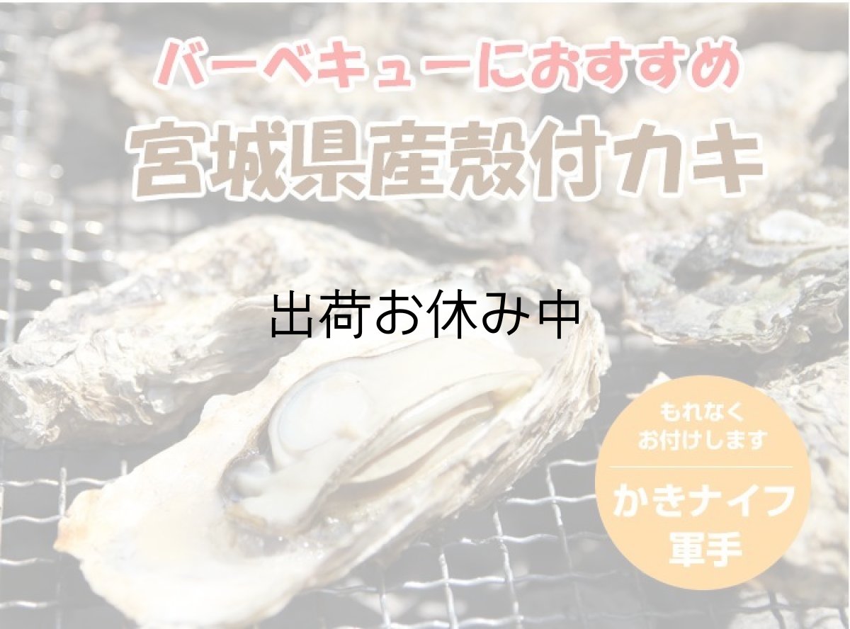 画像12: お急ぎ便 三陸産BBQ殻付牡蠣 (12)