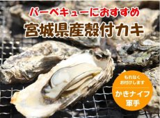 画像12: お急ぎ便　三陸産ＢＢＱ殻付牡蠣 (12)