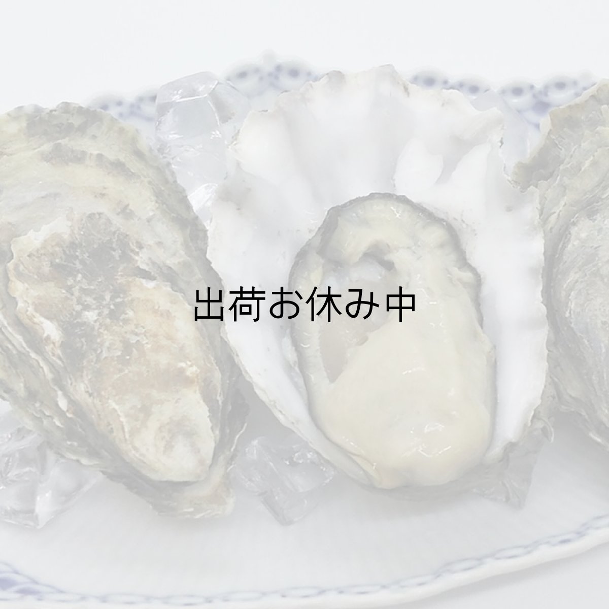 画像5: 北米バロンポイント　殻付牡蠣 (5)