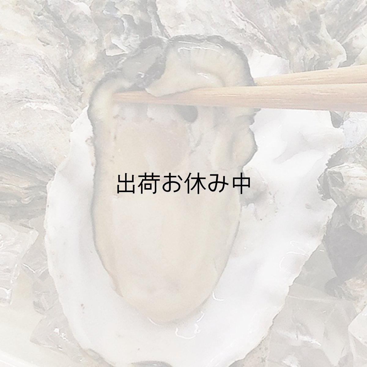 画像3: 北米バロンポイント　殻付牡蠣 (3)