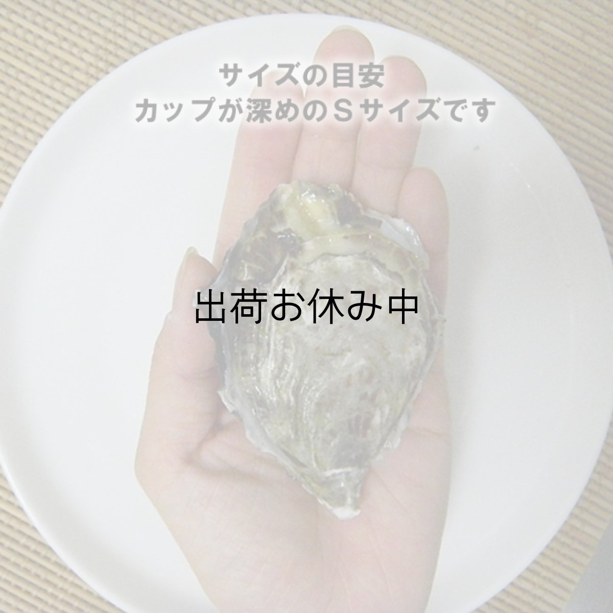 画像2: ウッディアイランド 殻付牡蠣 (2)