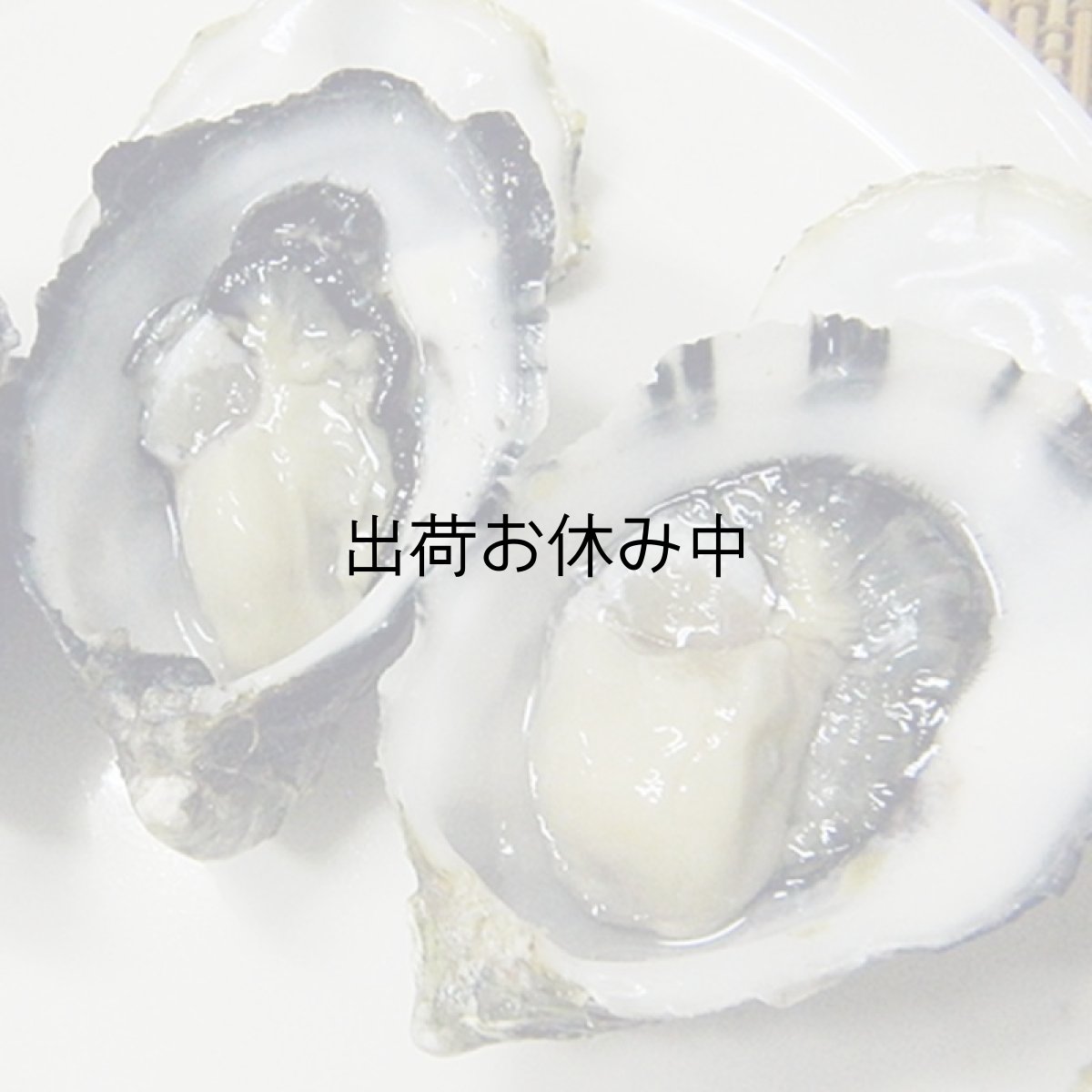 画像3: ウッディアイランド 殻付牡蠣 (3)