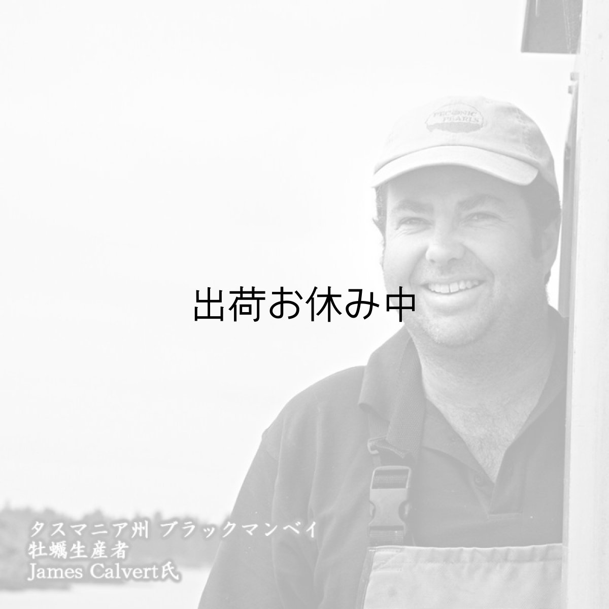 画像6: ウッディアイランド 殻付牡蠣 (6)