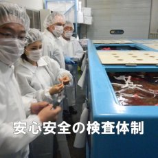 画像6: アイリッシュプレミアム殻付牡蠣 (6)
