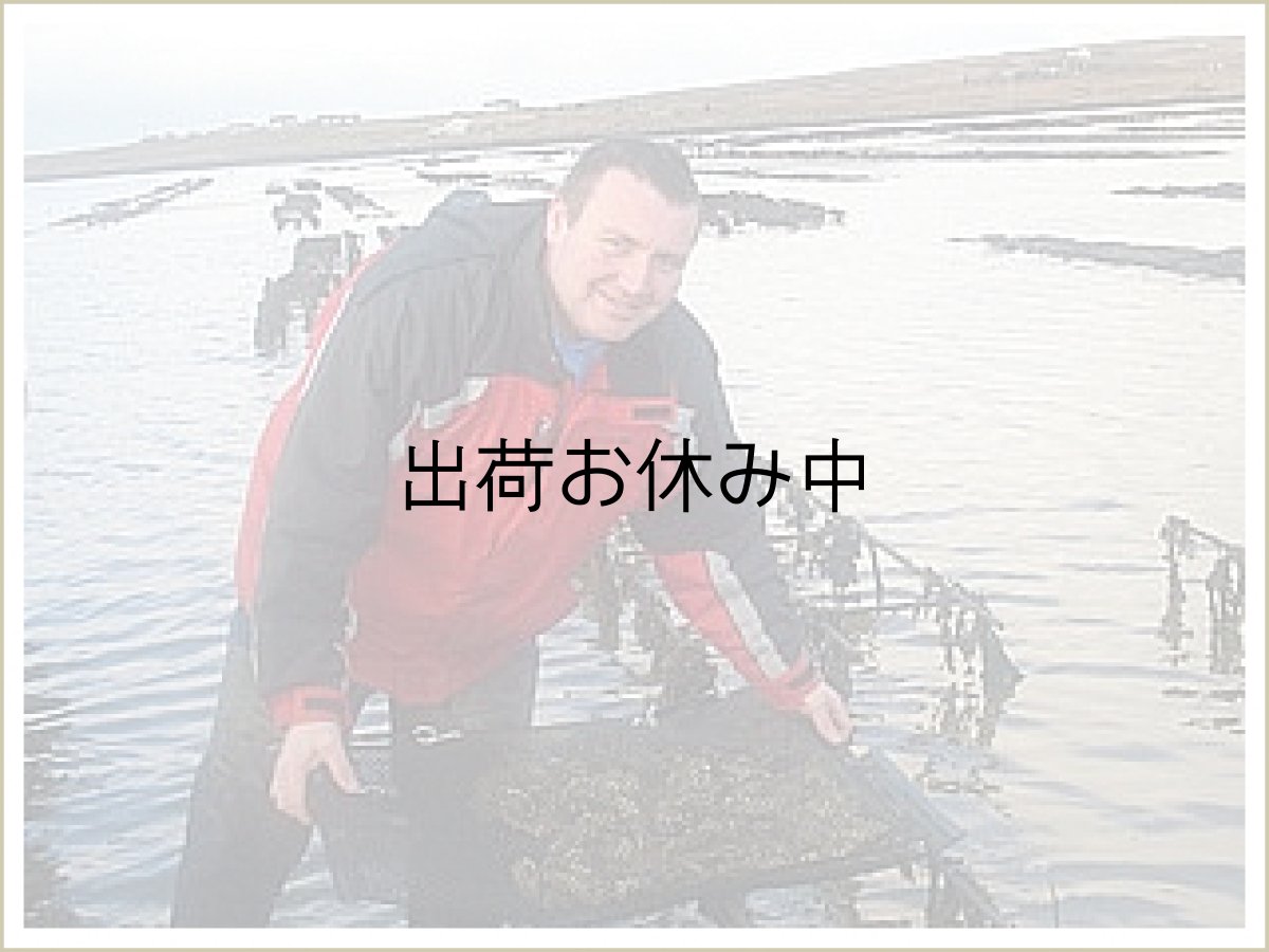 画像4: アイリッシュプレミアム殻付牡蠣 (4)