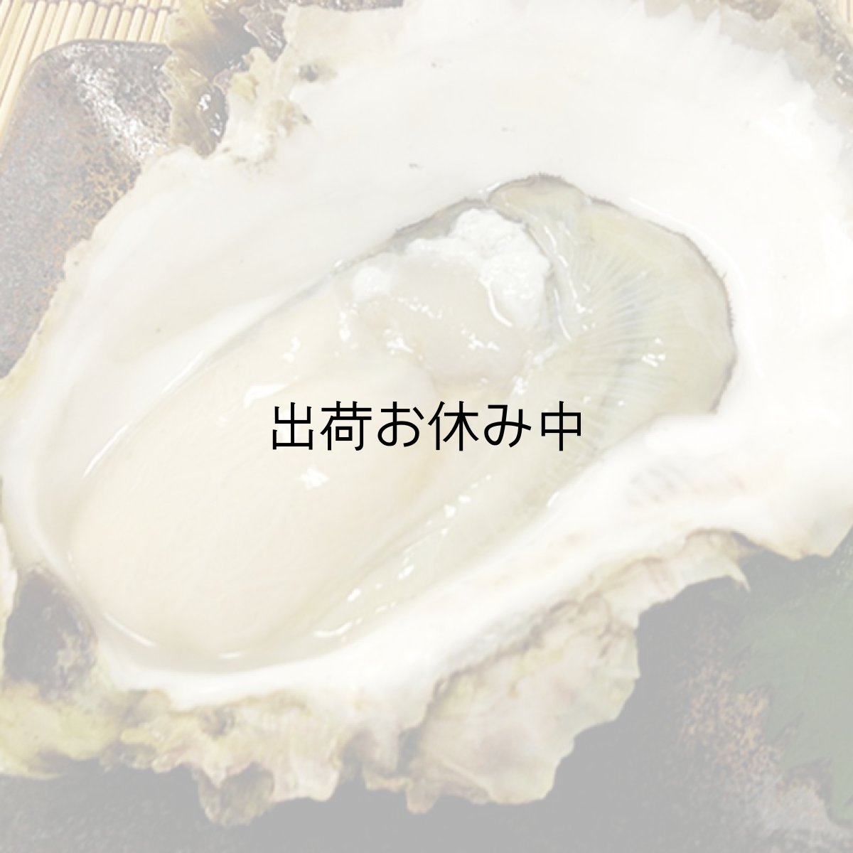 画像5: 長崎 五島列島産 岩牡蠣 (5)