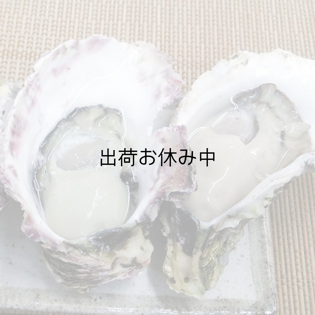 画像2: 長崎 五島列島産 岩牡蠣 (2)