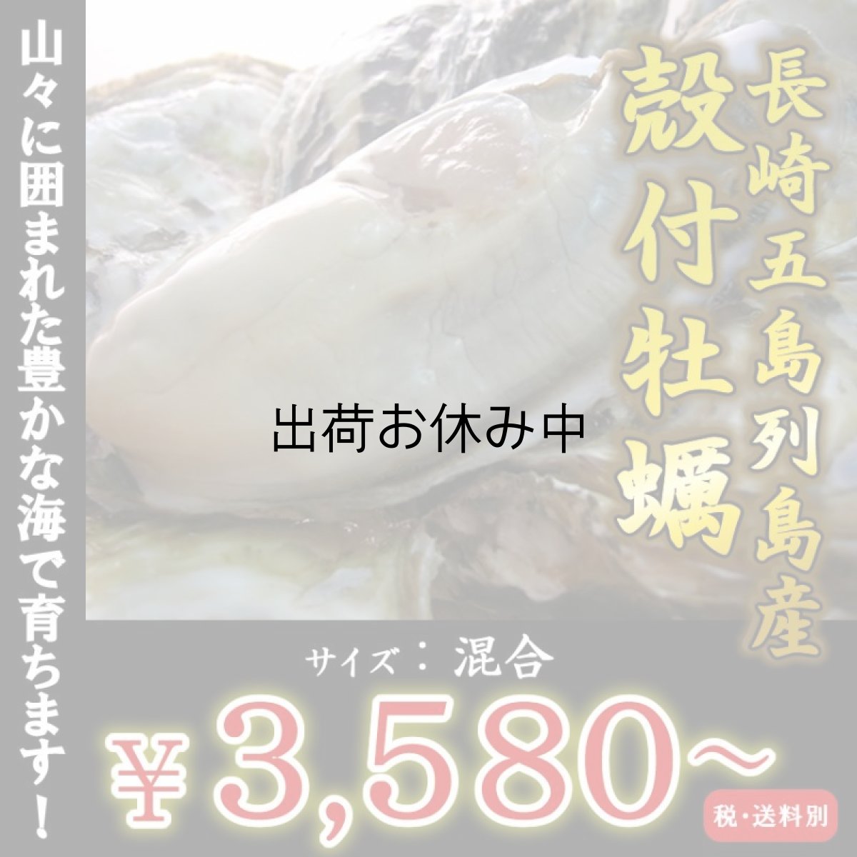 画像1: 【お急ぎ便】　長崎五島列島産　殻付牡蠣　（配送地域限定） (1)