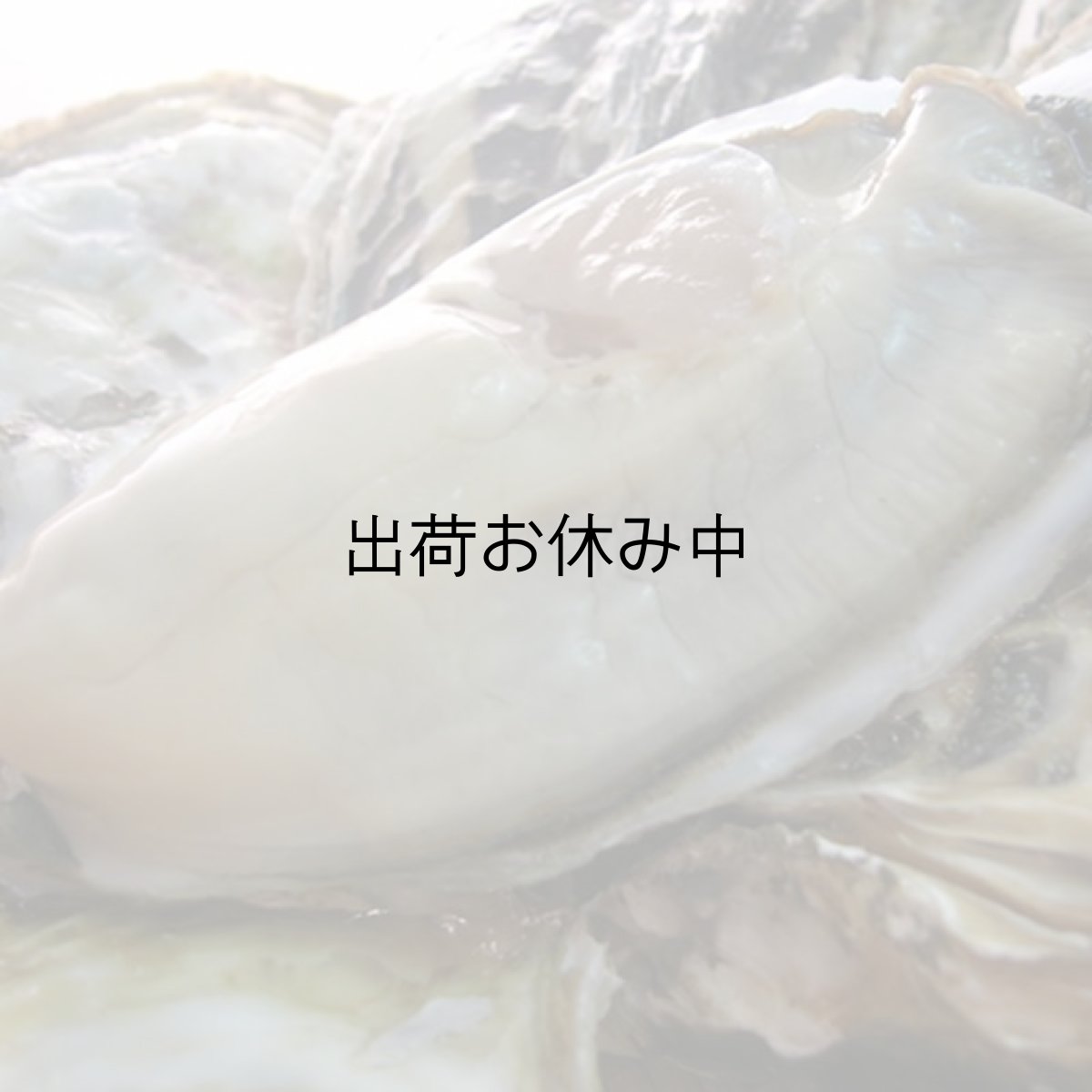 画像1: 長崎五島列島産　真牡蠣と岩牡蠣お得セット (1)