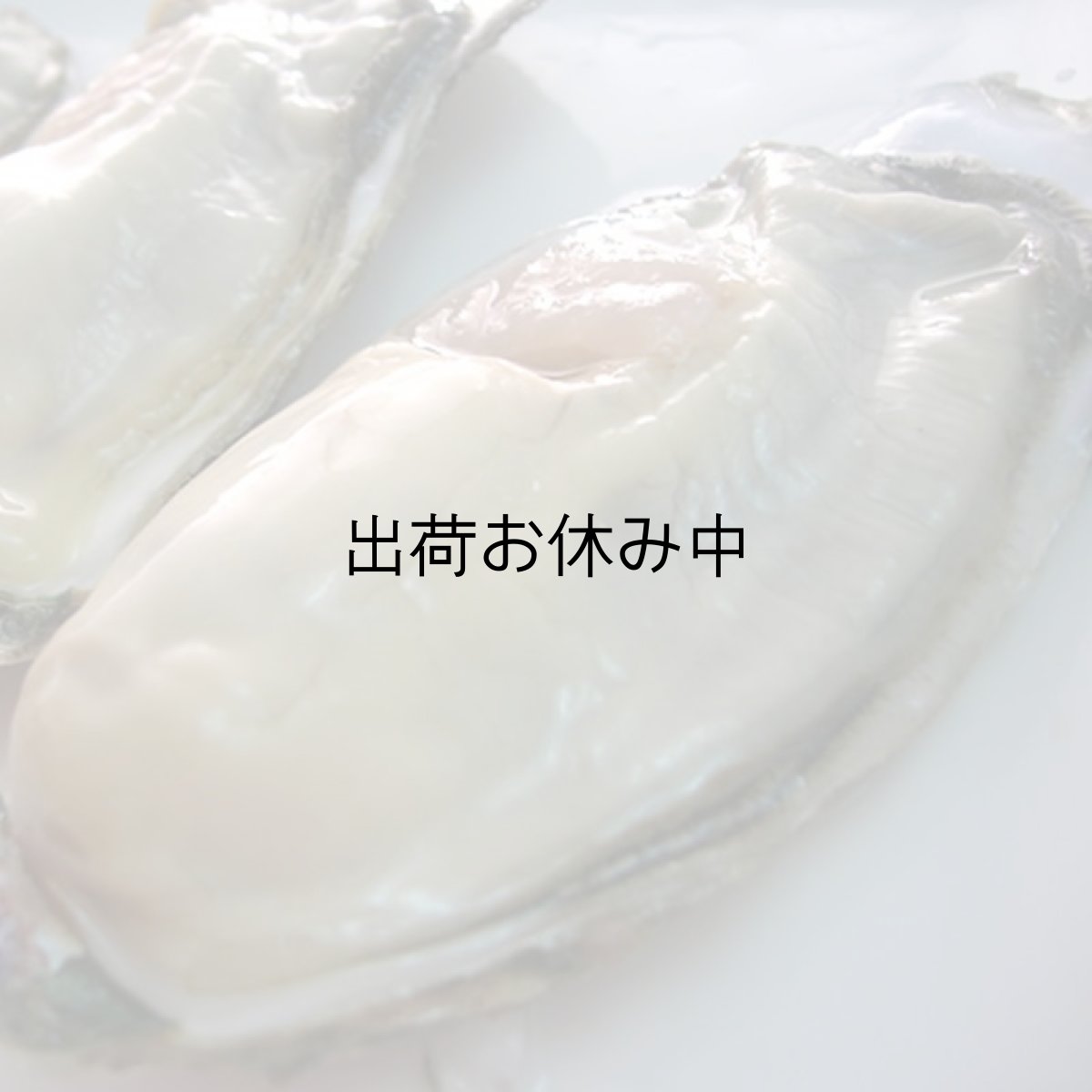 画像4: 【お急ぎ便】　長崎五島列島産　殻付牡蠣　（配送地域限定） (4)
