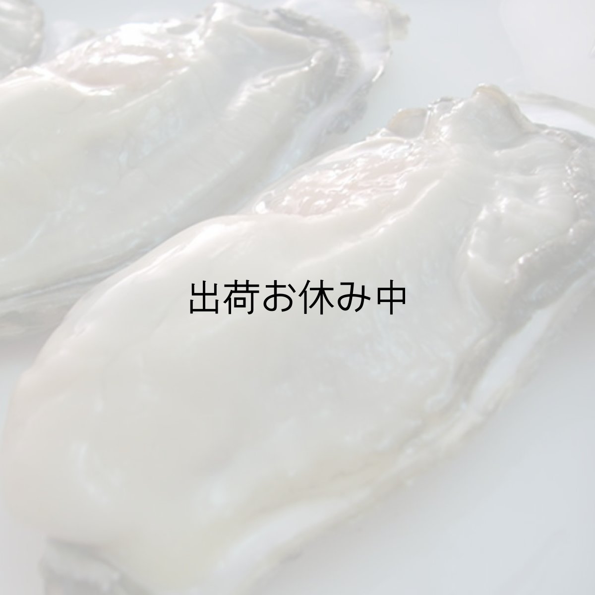 画像3: 【お急ぎ便】　長崎五島列島産　殻付牡蠣　（配送地域限定） (3)
