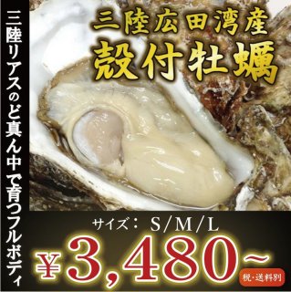 漁師直送　三陸産殻付き牡蠣　50個　S〜Lサイズ混合 漁師直送 三陸産殻付き牡蠣 50個 S〜Lサイズ混合 産地直送