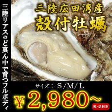 画像1: 【お急ぎ便】三陸広田湾産　殻付牡蠣　（お届け地域限定） (1)