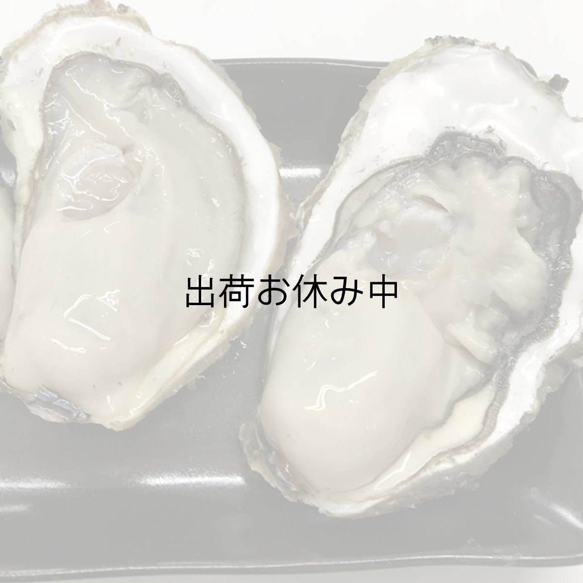 画像3: 【お急ぎ便】三陸広田湾産　殻付牡蠣　（お届け地域限定） (3)
