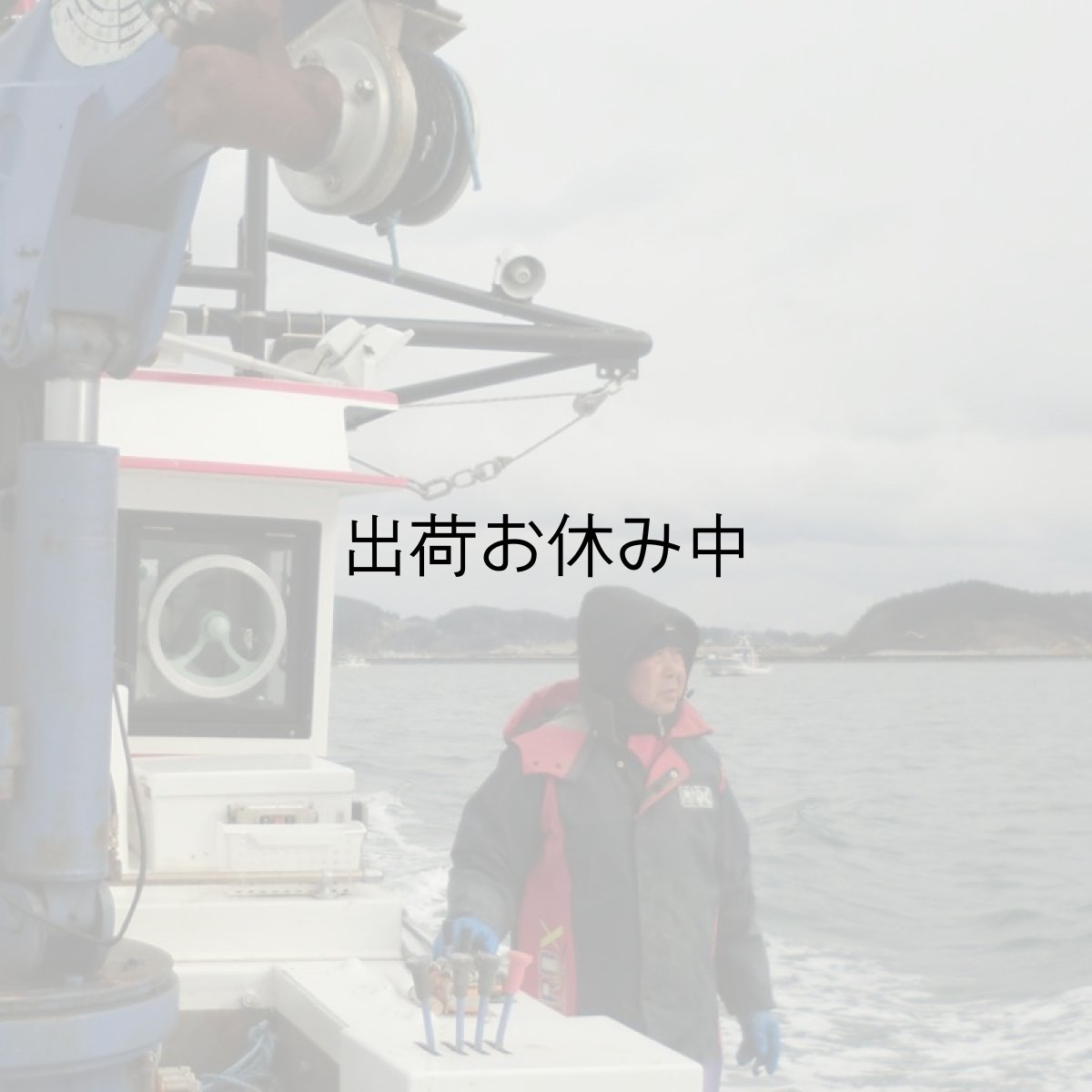 画像6: 【お急ぎ便】三陸広田湾産　殻付牡蠣　（お届け地域限定） (6)