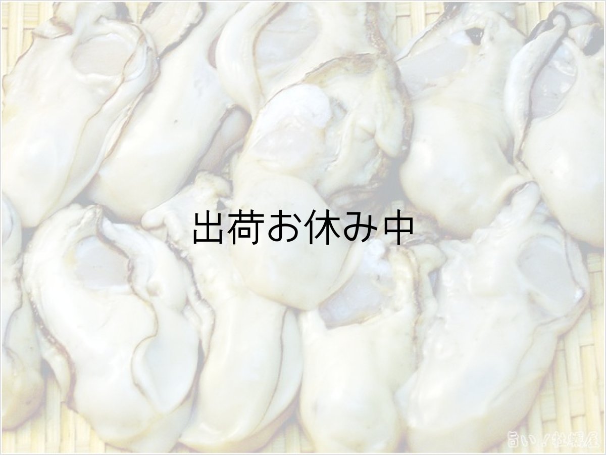 画像1: 大粒むき身牡蠣　 1〜2kg (1)