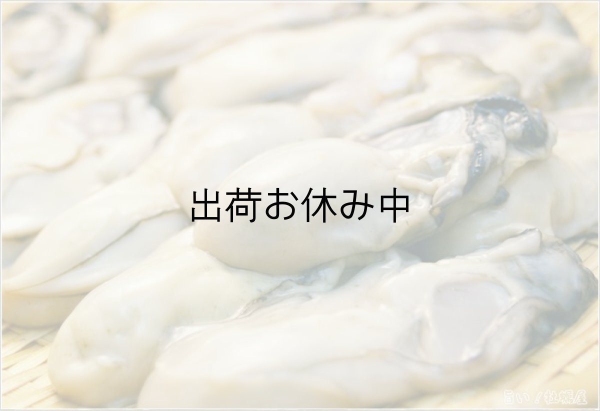 画像2: 岩手広田湾産　むき身牡蠣 (2)