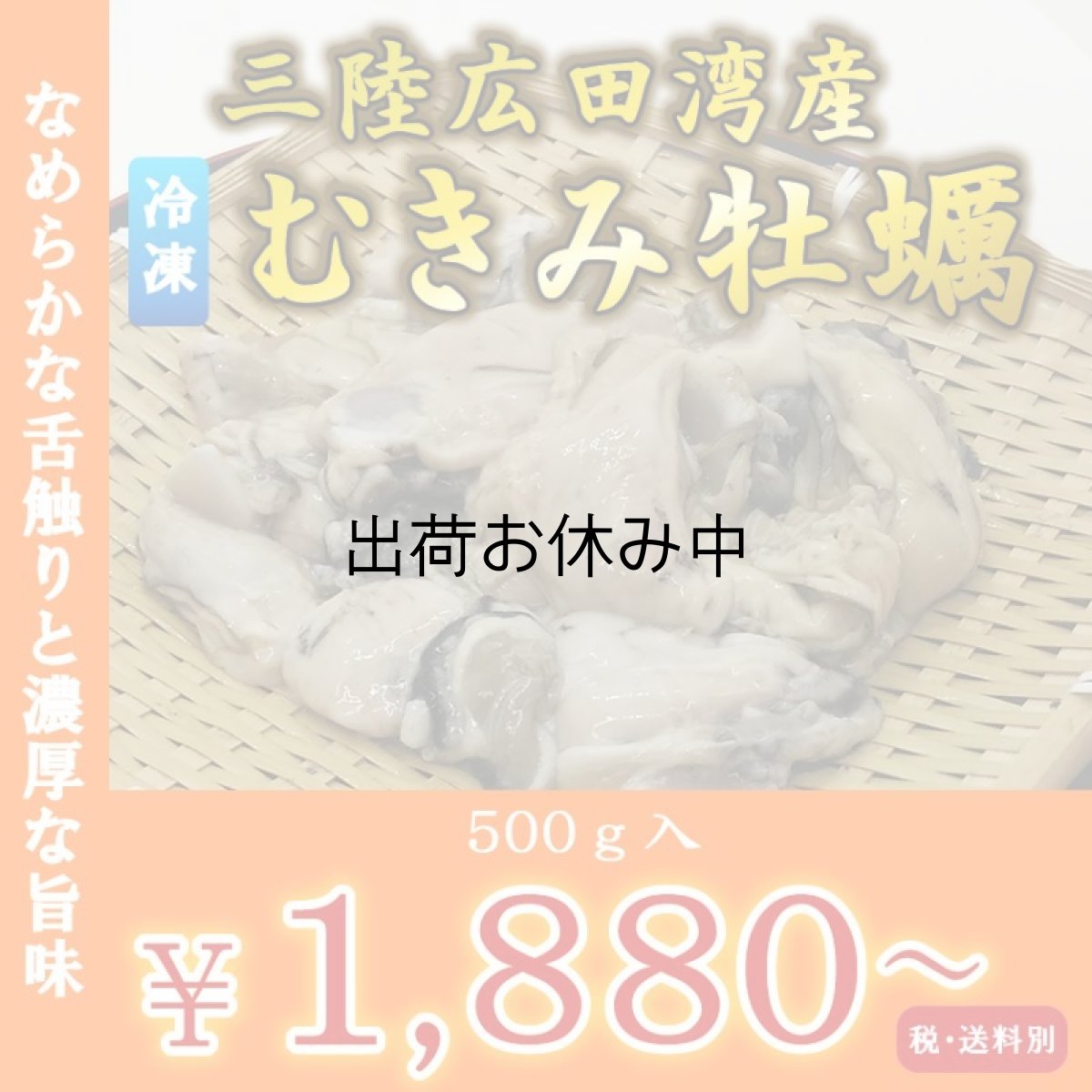 画像1: 三陸広田湾産　冷凍むき身牡蠣 (1)