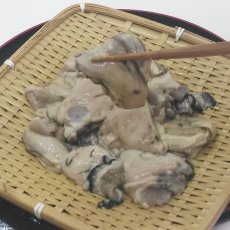 画像4: 三陸広田湾産　冷凍むき身牡蠣 (4)