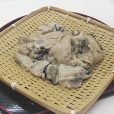 画像3: 三陸広田湾産　冷凍むき身牡蠣 (3)