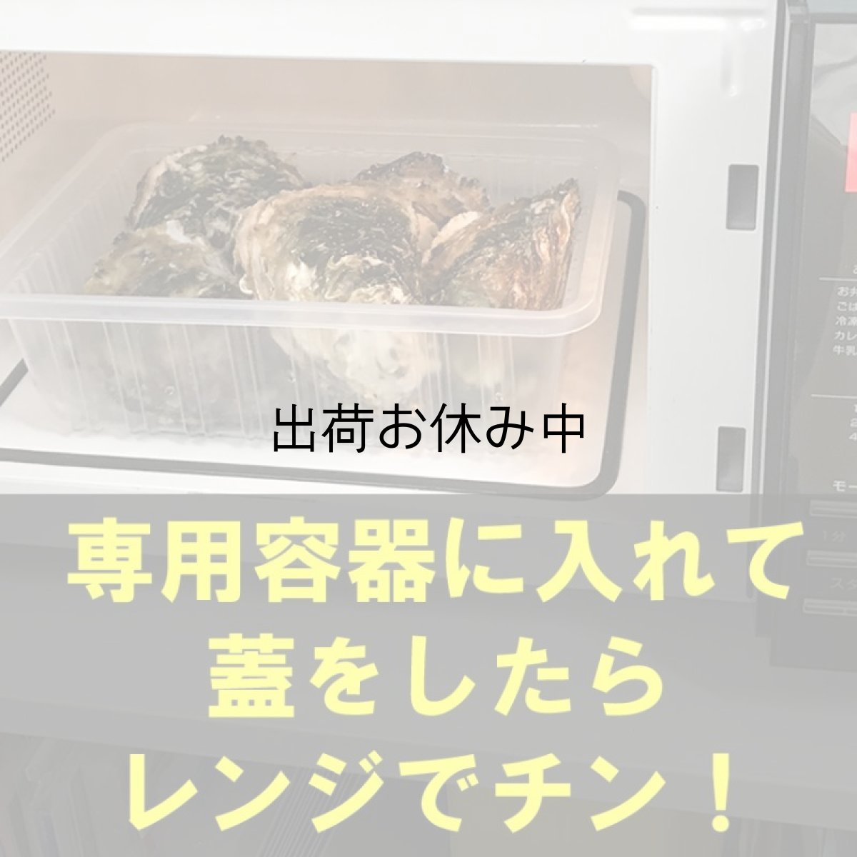 画像5: 三陸広田湾産　レンチン牡蠣 (5)