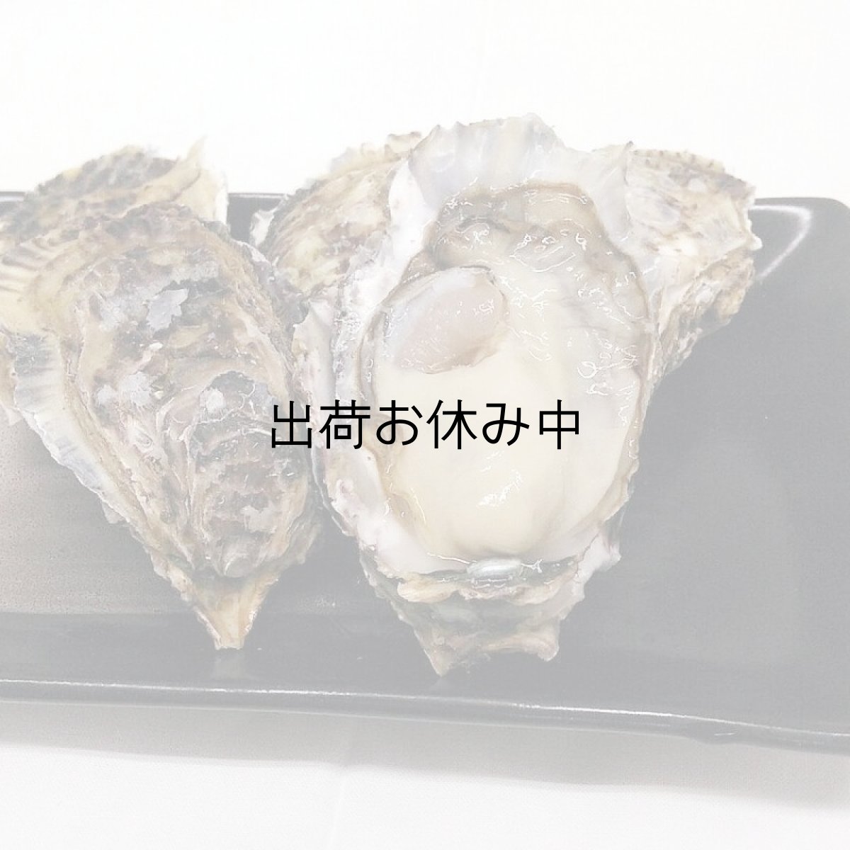 画像4: 福岡糸島産　みるく牡蠣 (4)