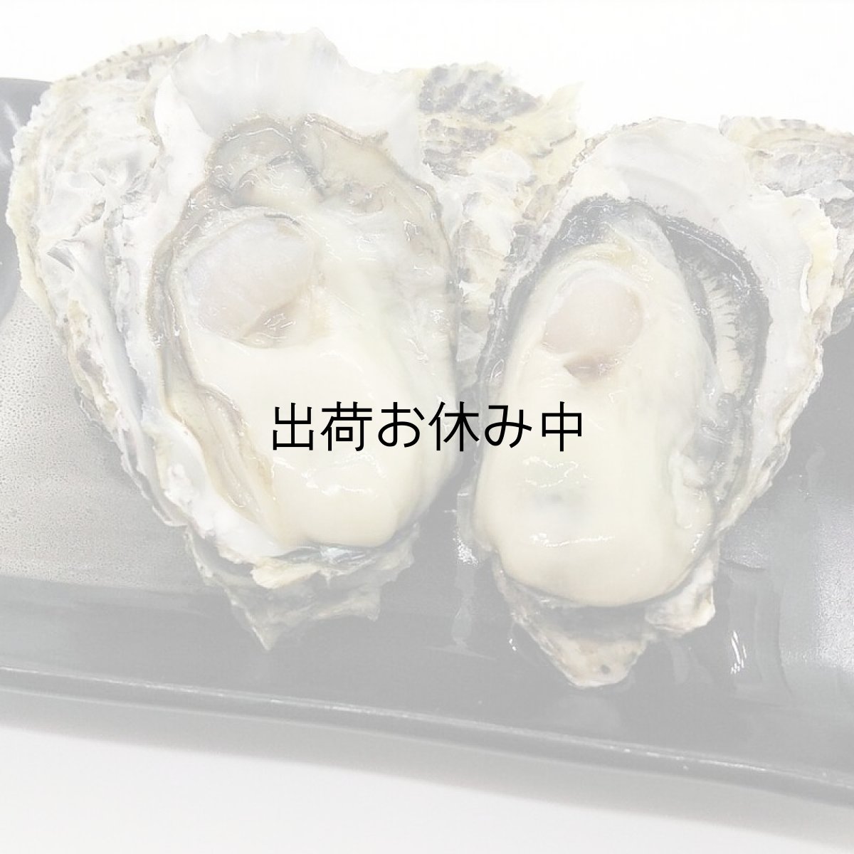 画像5: 福岡糸島産　みるく牡蠣 (5)